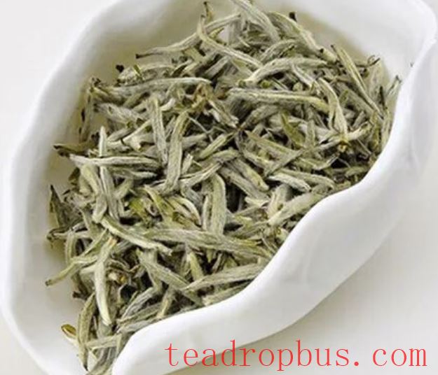 The Precious White Tea: The Charm and Flavor of Silver Needle-2