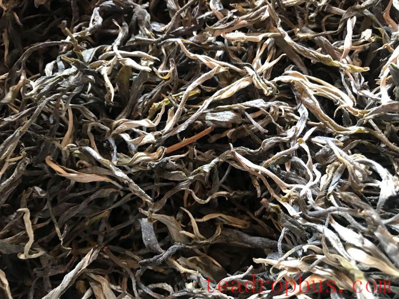 Price of 2024 Mengsong Huzhuliangzi Spring Tea-4