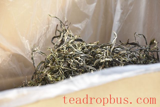 How to Select Pu'er Spring Tea Correctly?-2