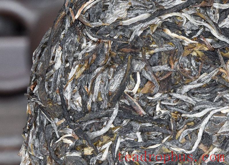 Characteristics of the Rhinoceros Pond Ancient Tree Tea-2