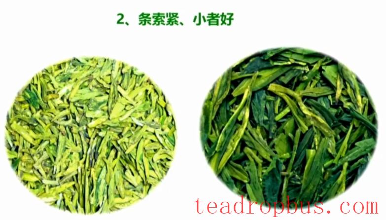 Selecting and Preserving High-Quality Early Spring Green Tea-4