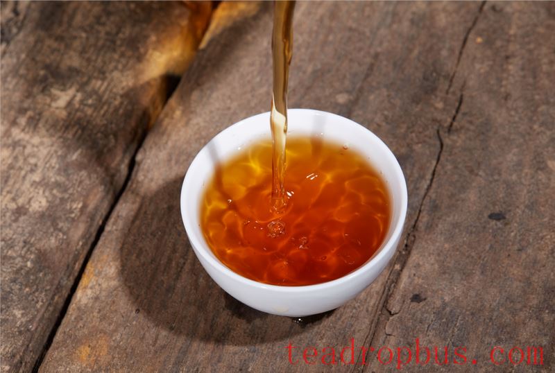 Academician Zhonghua Liu's Team: The Mechanism of Fu Brick Tea Against Diarrhea-4