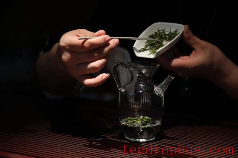 Tea Storage Tips: With Rainy and Humid Weather Here, How Are Your Teas Holding Up?-5