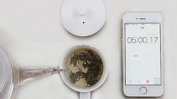 Want to Learn About Tea? Start by Gathering These Essential Tools!-1