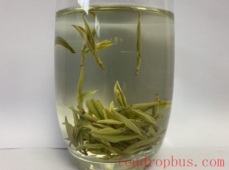 National Famous, Special, Superior, and Novel Agricultural Product Showcase — Laoshan Dragon's Beard-4