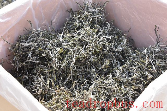 Puer Tea: Is Loose Tea or Cake Better for Storage?-1