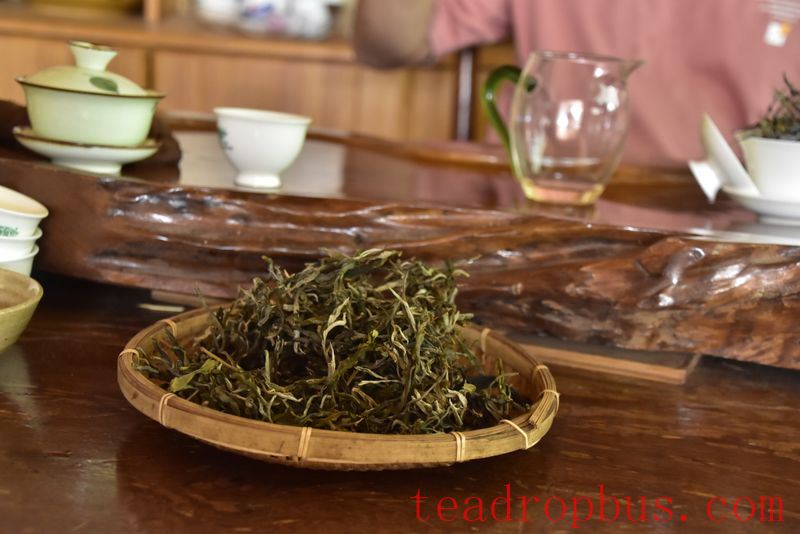 What Category Does Ancient Tree Tea Belong To?-4