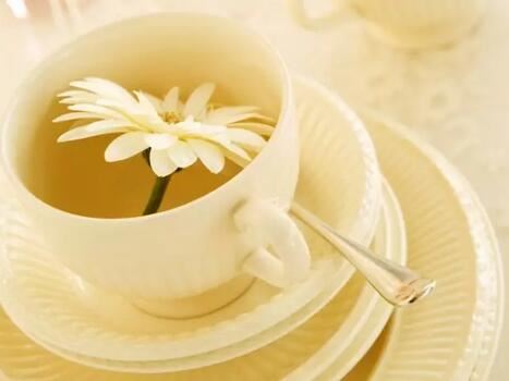 Tea Life Hacks, Did You Know?-2-ChinaTeaGuru: Exploring Chinese Tea Culture and Kung Fu Tea - Tea Art, Tea Ceremony, Tea Knowledge Tea Life Hacks, Did You Know?-2