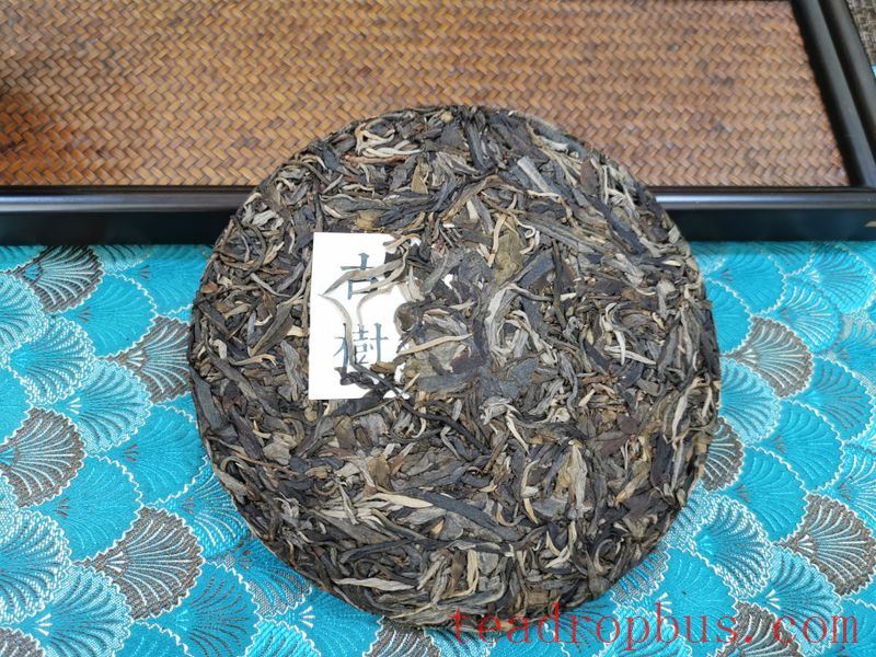 The Differences Between Fresh and Aged Pu'er Tea-1