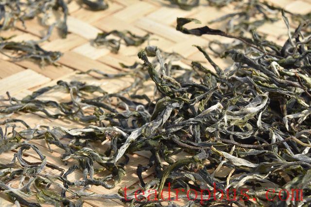 Where is the best spring Pu'er tea from?-2