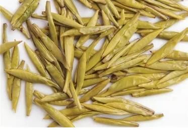 What are the differences between White Tea and Yellow Tea?-3-ChinaTeaGuru: Exploring Chinese Tea Culture and Kung Fu Tea - Tea Art, Tea Ceremony, Tea Knowledge What are the differences between White Tea and Yellow Tea?-3