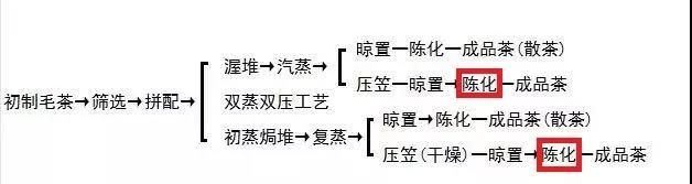 Understanding the Aging and Production Dates of Liubao Tea-2
