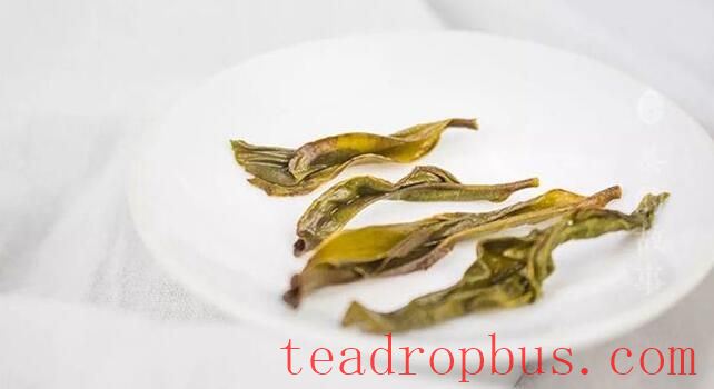 How to Distinguish the Quality of Tea from the Leaves?-2