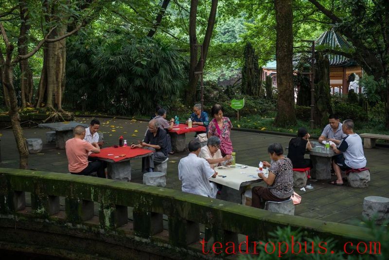 Consumers Say: Why Do We Buy Mid-Age Tea?-1