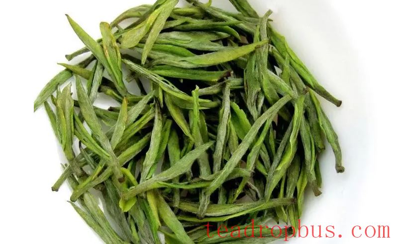 Storage Methods for Anji White Tea-2