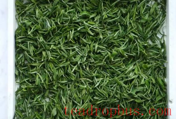 Graceful Orchid-Shaped Green Tea-1