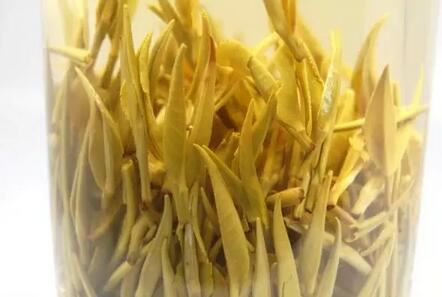 What are the differences between White Tea and Yellow Tea?-6-ChinaTeaGuru: Exploring Chinese Tea Culture and Kung Fu Tea - Tea Art, Tea Ceremony, Tea Knowledge What are the differences between White Tea and Yellow Tea?-6
