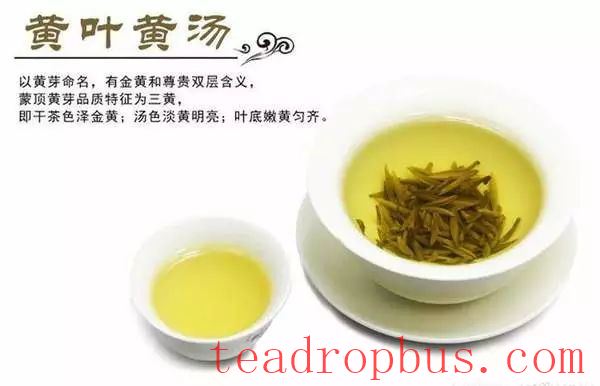 Introduction to Yellow Tea Varieties-2