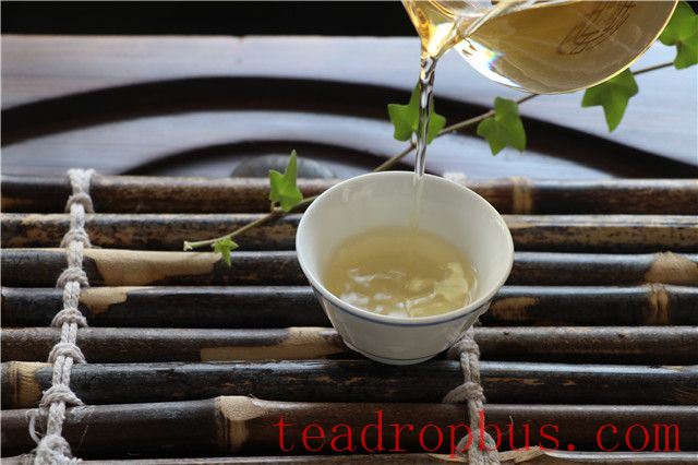 Differences Between Pu'er Spring Tea and Autumn Tea-3