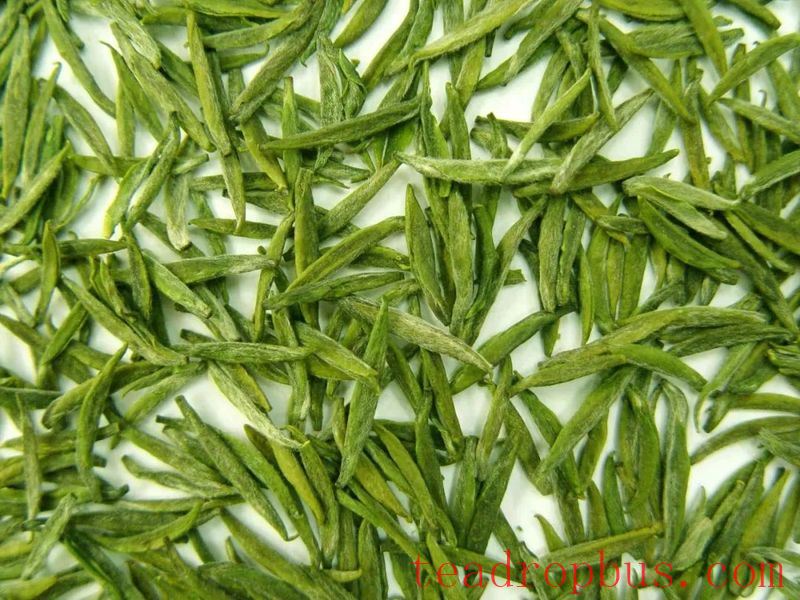 Selecting and Preserving High-Quality Early Spring Green Tea-2