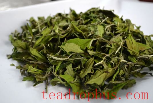 The Allure of the Green Flavor in Fresh White Tea: Exploration and Enlightenment-4