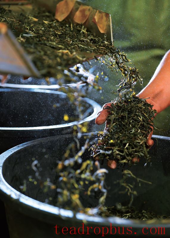 What are the basic elements of “daily tea”?-1