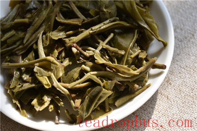 Lao Xu on Tea: Fermenting Sheng Pu'er to Mimic Aged Tea - How to Spot the Fakes by Aroma, Infusion, and Leaf?-1