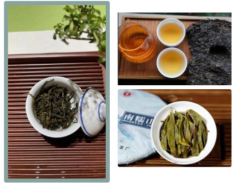 Puer Tea Culture of Menghai County ①-2