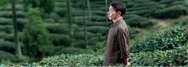 Mengding Ganlu: A Thousand-Year Journey of a Single Tea Leaf-14