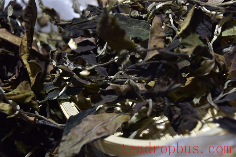 Typhoon Weather Approaches: Time to Pay Attention to Storing Your Tea!-2