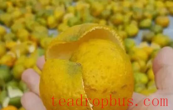 How to Distinguish the Authenticity and Quality of Xinhui Citrus Peel?-3