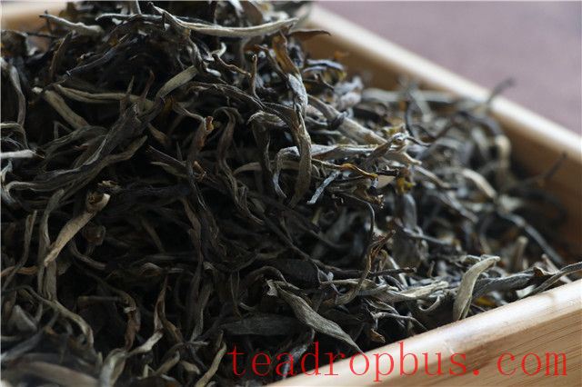 How to Distinguish the Authenticity and Quality of Pu'er Tea