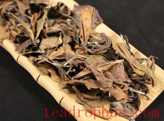 The Enigma of Aged White Tea: Why Isn't Ten Years More Aromatic Than Three?-3
