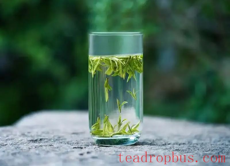 Can Positive Patients Drink Tea?-3
