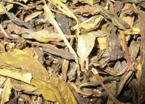 Old Yellow Leaves Are Rare and Should Be Cherished-1-ChinaTeaGuru: Exploring Chinese Tea Culture and Kung Fu Tea - Tea Art, Tea Ceremony, Tea Knowledge Old Yellow Leaves Are Rare and Should Be Cherished-1