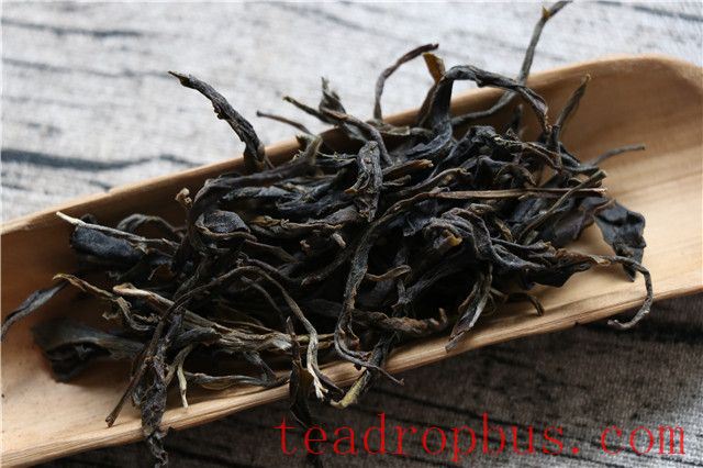 Spring Tea Season Approaches: A Guide to Buying Pu'er Spring Tea-4