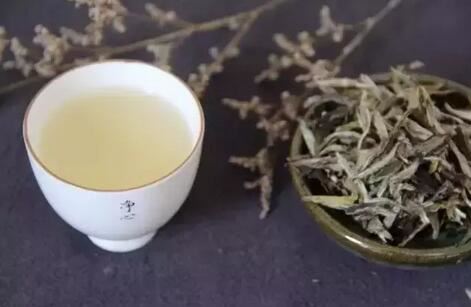 White Tea at its Best Beats Cordyceps Sinensis!-3-ChinaTeaGuru: Exploring Chinese Tea Culture and Kung Fu Tea - Tea Art, Tea Ceremony, Tea Knowledge White Tea at its Best Beats Cordyceps Sinensis!-3