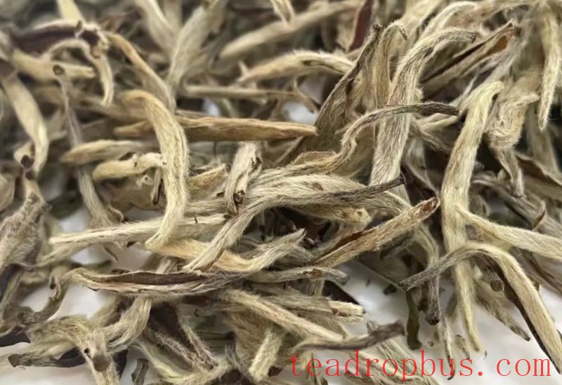 How to Appreciate Baihao Yinzhen? Focus on These 6 Aspects-2