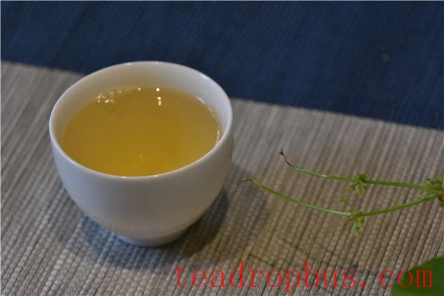 Puer Tea: What's it Like?-1