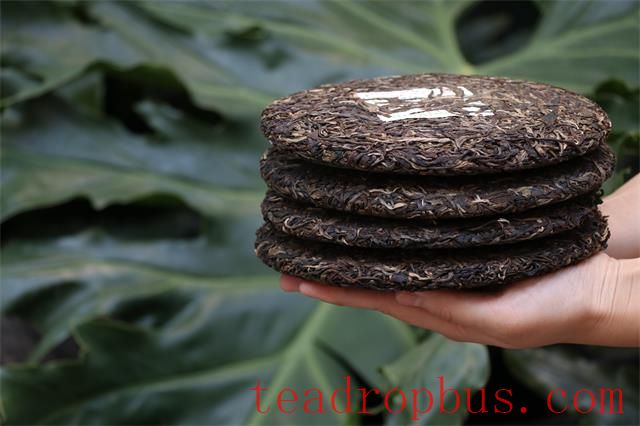 Pu'er Tea Expiration and Storage Methods-3