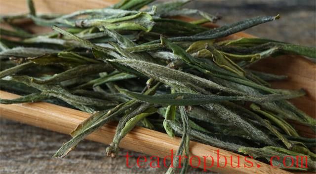 What is the taste of good green tea, and how to distinguish its quality grades?-1