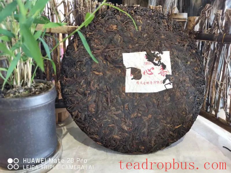 Puerh Raw Tea or Ripe Tea: How to Choose?-4