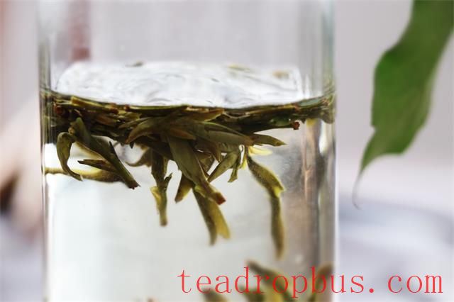 Can Two-Year-Old Green Tea Still Be Drunk?-2