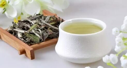 There's a type of tea that rivals antibiotics and cold remedies, and it can even help with hangovers!-1-ChinaTeaGuru: Exploring Chinese Tea Culture and Kung Fu Tea - Tea Art, Tea Ceremony, Tea Knowledge There's a type of tea that rivals antibiotics and cold remedies, and it can even help with hangovers!-1