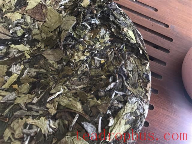 How to Store White Tea Best-1
