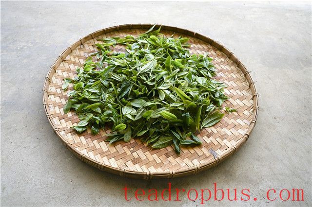 What Does Spring Tea Taste Like?-3