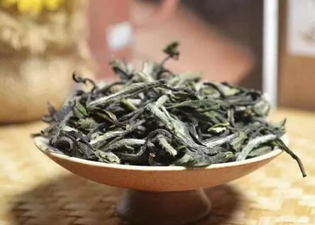 Ten Things About White Tea – How Many Do You Know?-5-ChinaTeaGuru: Exploring Chinese Tea Culture and Kung Fu Tea - Tea Art, Tea Ceremony, Tea Knowledge Ten Things About White Tea – How Many Do You Know?-5