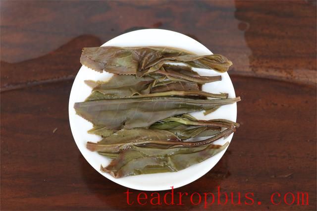 Lao Xu on Tea: Fermenting Sheng Pu'er to Mimic Aged Tea - How to Spot the Fakes by Aroma, Infusion, and Leaf?-3