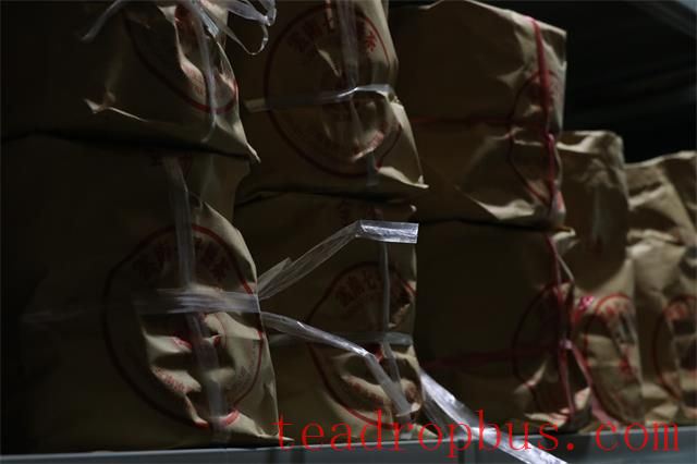 Is Pu'er Tea Really Better the Older It Gets?-1