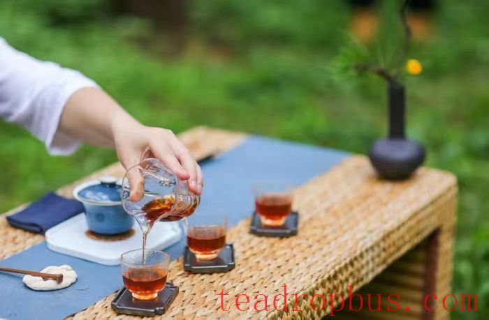 Rumors about tea causing calcium loss? Here's the truth!-1